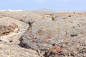 Apocalyptic landscape like a planet Mars surface. Solidified red-brown black Earth surface. Barren, cracked and scorched land.