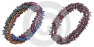 Apolipoprotein A-I molecule