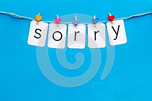 Apologise concept. Cute heart icons garland with text sorry on blue background top view copy space