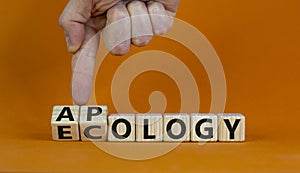 Apology to ecology symbol. Hand turns cubes and changes word `ecollgy` to `apology`. Beautiful orange background, copy space.