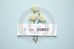 Apology. White card with phrase I Am Sorry and beautiful Eustoma flowers on light mint color background, flat lay