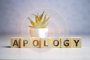 APOLOGY word written on wood block on table