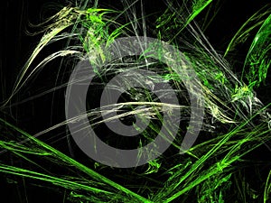 Apophysis