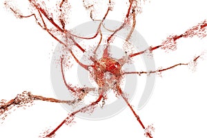 Apoptosis of neuron which is observed in different diseases