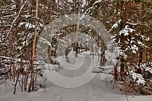 The Apostle Islands National Lake Shore are a popular Tourist Destination on Lake Superior in Wisconsin