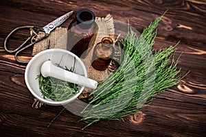 Apothecary mortar with dry medicinal herbs horse tail. Equisetum, horsetail, snake grass, oil for cosmetology. puzzlegrass,