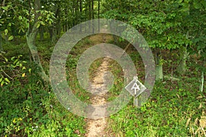 Appalachian Trail Sign on the Blue Ridge Parkway photo