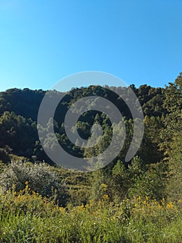 Appalachia mountains the great oitdoors