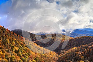 Appalachian Mountain Ridges Golden Fall Foliage NC