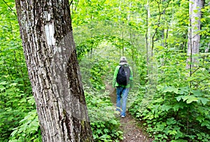 Appalachian Trail