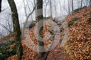 Appalachian Trail Big Cedar Mountain Path