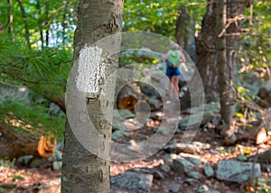 Appalachian Trail Blaze with Hiker in Background