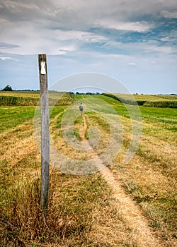 Appalachian Trail Blaze in Open Corn Field