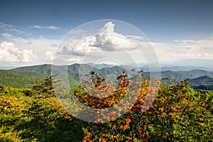 Appalachian Trail Blue Ridge Mountains NC