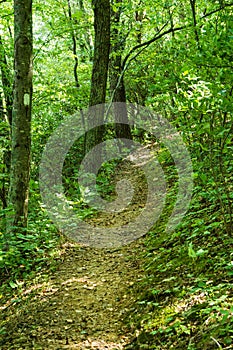 Appalachian Trail on the Blue Ridge Parkway