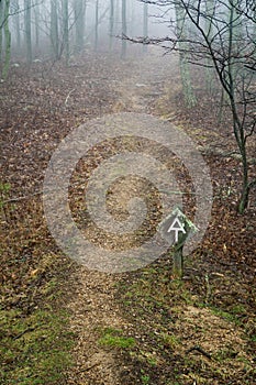 Appalachian Trail in the Fog