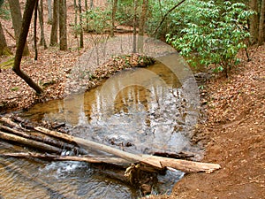 Appalachian Trail in Georgia