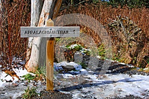 Appalachian trail in Great Smoky Mountains, USA