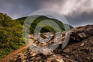 The Appalachian Trail, on Little Stony Man Cliffs in Shenandoah National Park