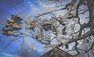 Appalachian Trail at Neels Gap and Mountain Crossings