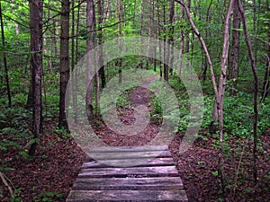 Appalachian Trail in Pennsylvania