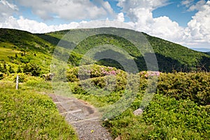 Appalachian Trail Roan Mountain TN and NC