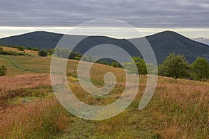 Appalachian Trail Scenery atop Cole Mountain, Virginia