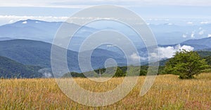 Appalachian Trail Scenery in Central Virginia