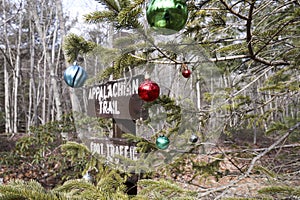 Appalachian trail sign and tree