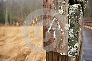 Appalachian trail symbol on wooden walkway through swamps