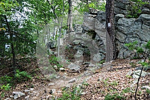 Appalachian Trail on Tinker Ridge