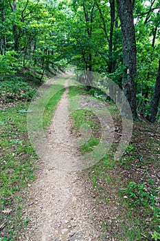 The Appalachian Trail in Virginia