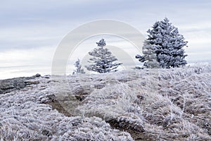 Appalachian Trail Winter Hike