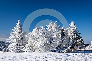 Appalachian Trail Winter Hike