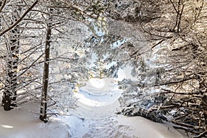 Appalachian Trail Winter Hike