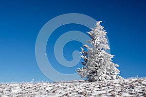 Appalachian Trail Winter Hike