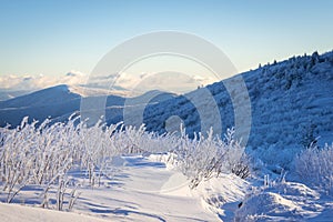 Appalachian Trail Winter Hike