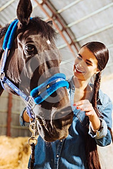 Appealing beaming woman wearing denim shirt touching horse