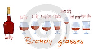 Appearance and names of the main types of brandy glasses