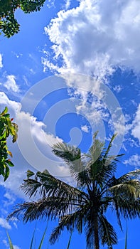 The appearance of the natural sky of Asia is very stunning