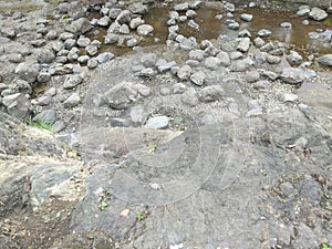 The appearance of the river when the water begins to recede in the dry season