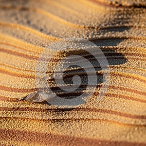 Appears soft and smooth with shadows emphasizing the individual