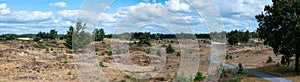 Appelscha, Drenthe, Netherland -Extra large panoramic view over the sand hills of the Drents-Fries Wold National park