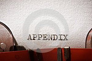 Appendix concept view photo