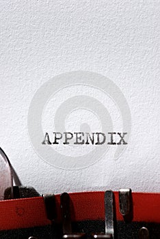 Appendix concept view