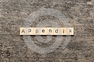 appendix word written on wood block. appendix text on table, concept