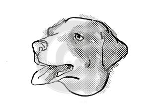 Appenzeller Sennenhunde Dog Breed Cartoon Retro Drawing