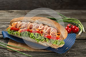 Appetising hot dog with vegetables and green salad close up on a wooden background