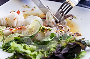 Appetite appetizer salad in Thai style Octopus