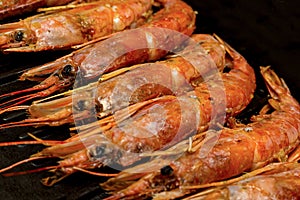 Appetizer for beer large red shrimps argentine in chitin one-piece set lies on grill raw stage cooking sea food menu background photo